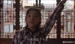 娱乐圈吃瓜视屏,幕后真相与明星隐私曝光