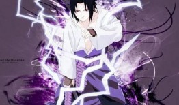 小佐助技能爆料视频下载,视频爆料背后的强大力量